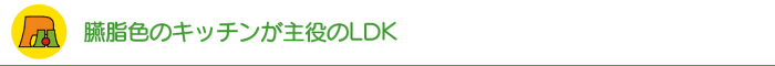臙脂色のキッチンが主役のLDK 臙脂色のキッチンが主役のLDK